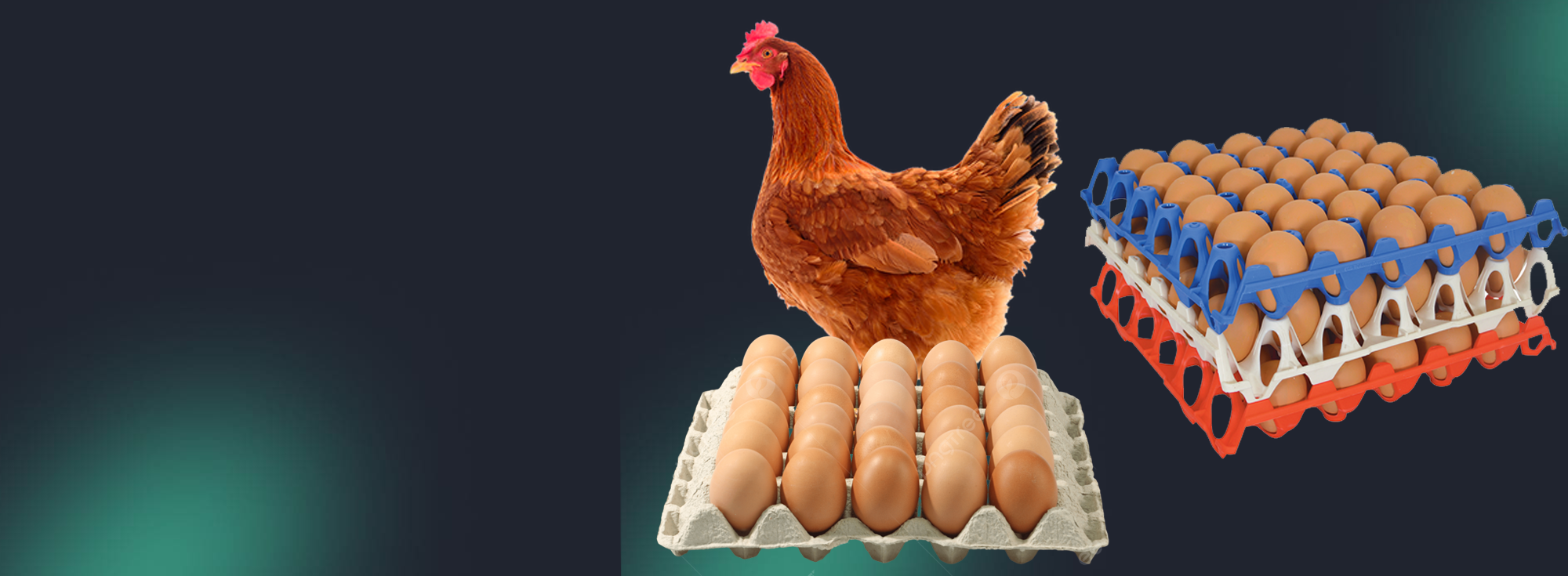 gift-card-slideshow-01