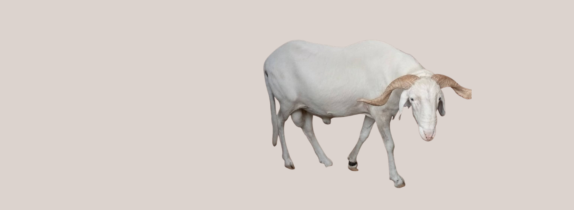 gift-card-slideshow-02